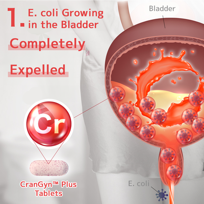 크란징 플러스 - 방광염 대책 보조식품