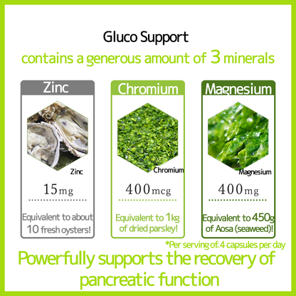 글루코 서포트